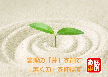 論理の芽を育て書く力を伸ばす徹底添削