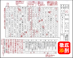 日本作文協会のワンランク上の添削指導事例